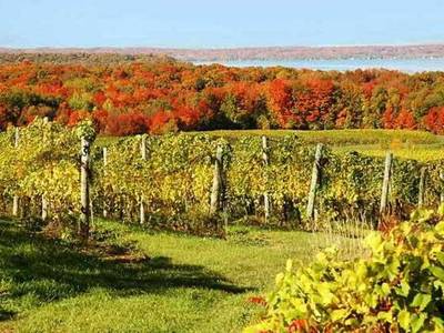 Fairfield Inn & Suites Traverse City