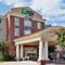 Holiday Inn Express Hotel & Suites Baton Rouge - East