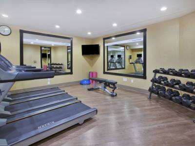 Holiday Inn Express Hotel & Suites Detroit - Auburn Hills