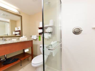 Hampton Inn Detroit/Auburn Hills South