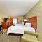 Hampton Inn Detroit/Auburn Hills South