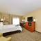 Hampton Inn Detroit/Auburn Hills South