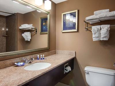 BEST WESTERN PLUS North Savannah
