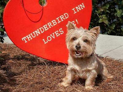 Thunderbird Inn