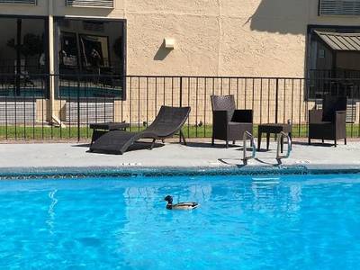 Country Hearth Inn & Suites - Abilene