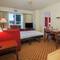 Residence Inn Flint
