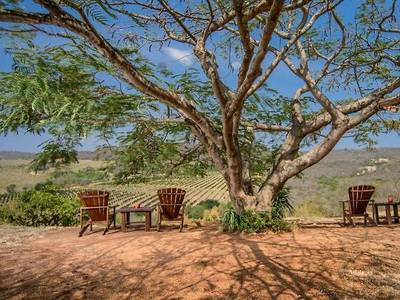Abangane Guest Lodge