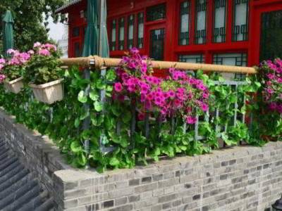 161 Lama Temple Courtyard Hotel