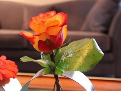 Hôtel Majestic Lourdes