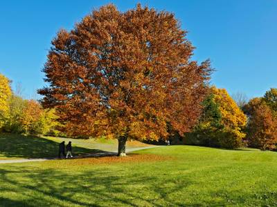 mk| münchen max-weber-platz