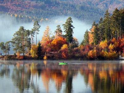 Schwarzwaldhof Nicklas