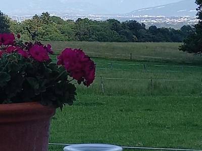 Auberge Des Chasseurs