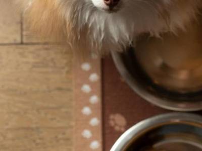 Rosewood Inn Of The Anasazi