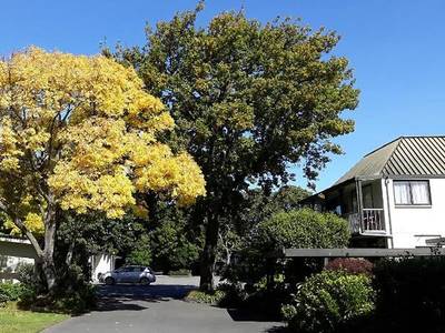 Ashleigh Court Motel