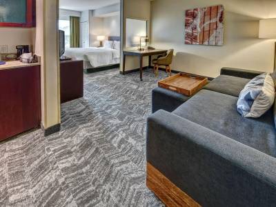 SpringHill Suites by Marriott New Bern