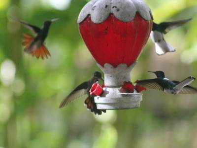 Blue River Resort & Hot Springs