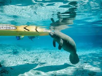 Holiday Inn Express Crystal River