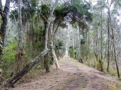 Tweed Ultima Resort Gold Coast