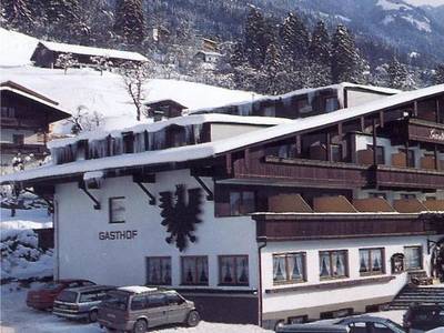 Schwarzer Adler Ramsau im Zillertal (Foto)