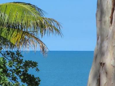 Marlin Waters Beachfront Apartments