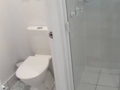 Pandanus Coolum Beach