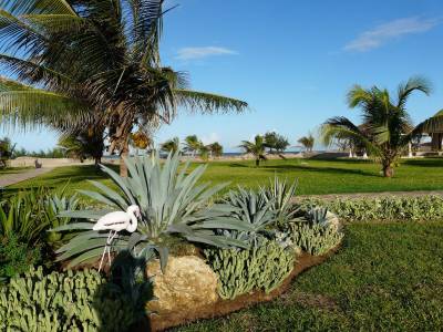 Ocean Beach Resort (Foto)