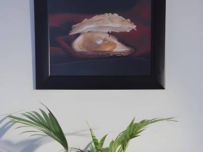 Oyster Box Guesthouse