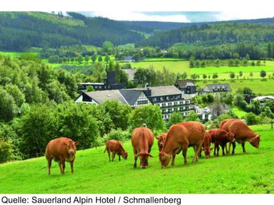 Sauerland Alpin Hotel (Foto)