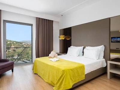Delfim Douro Hotel