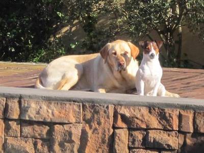 La Roche Guest House