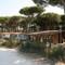 Pineta Sul Mare Camping Village