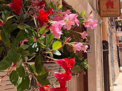 Bed Breakfast De Nittis