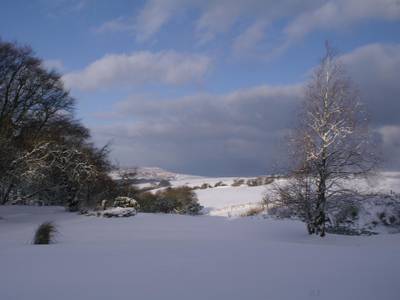 Moorlands - Guest house