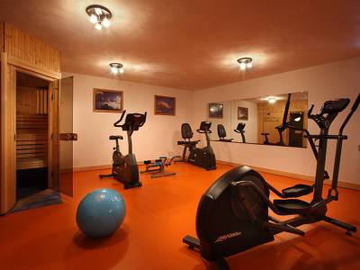 Chalet des Neiges - Plein Sud Residence