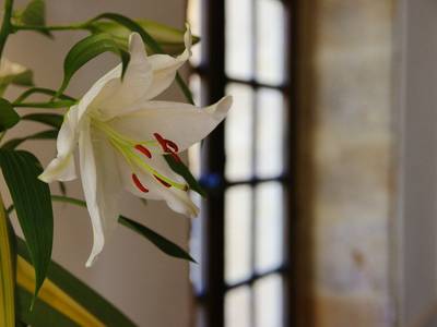 Chateau de la Pioline