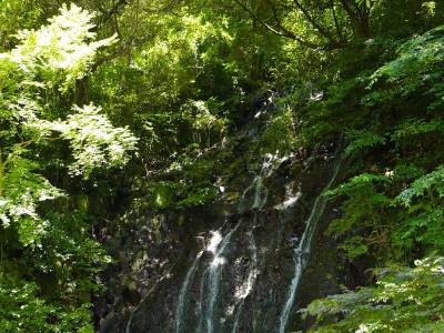 Hakone Yumoto Onsen Tenseien