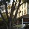 Four Points by Sheraton Arusha, The Arusha Hotel