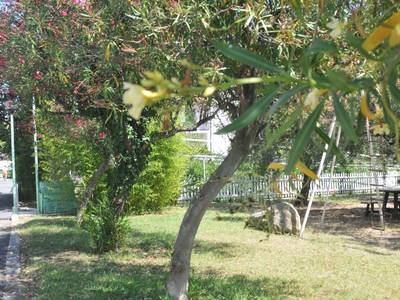 La Corte Degli Ulivi