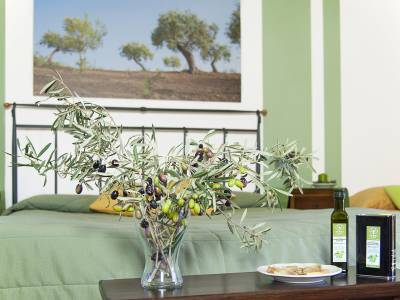 Azienda Agrituristica Bergi