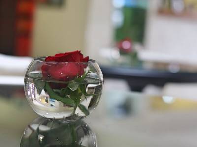 Cora 96 Street Suites