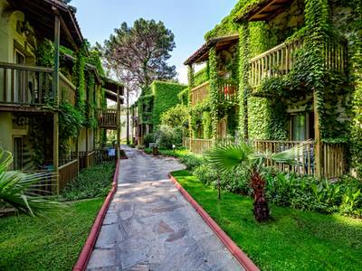 FUN&SUN Gypsophila Marine 