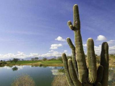 Sheraton Grand at Wild Horse Pass