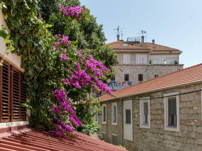 Guesthouse Imperator