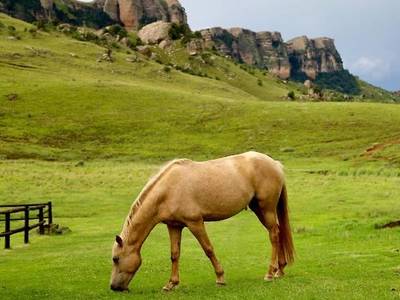 Greenfire Lodge Drakensberg