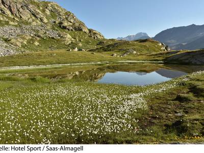 Sport Hotel Saas Almagell
