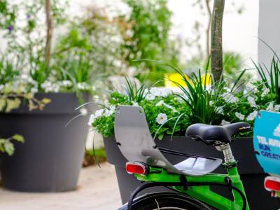 The White House Boutique Hotel