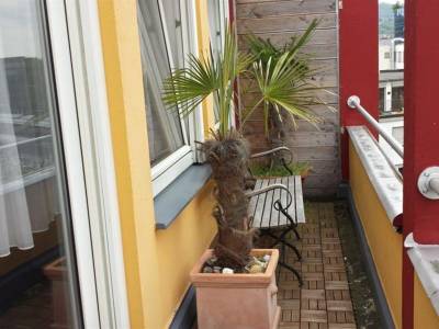 Continental Pfälzer Hof