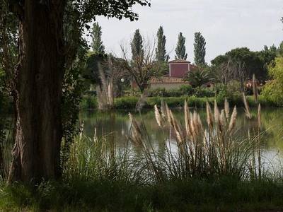 Adonis Arles by Olydea