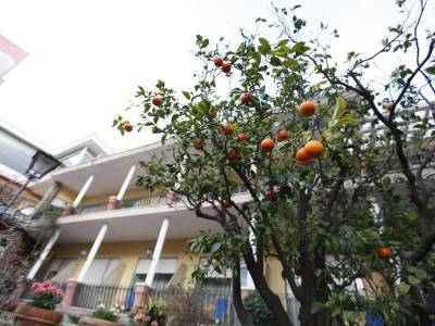 Continental Taormina