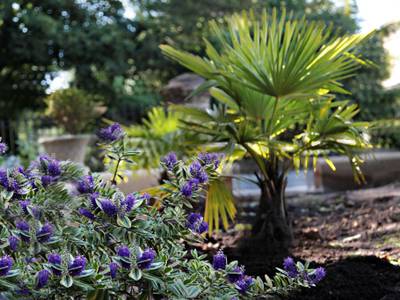 Victoria Square Hotel